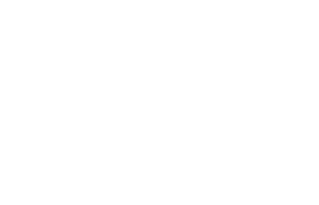 Feel It Like Us